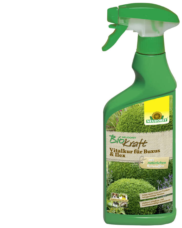 NEUDORFF BioKraft Vitalkur für Buxus & Ilex